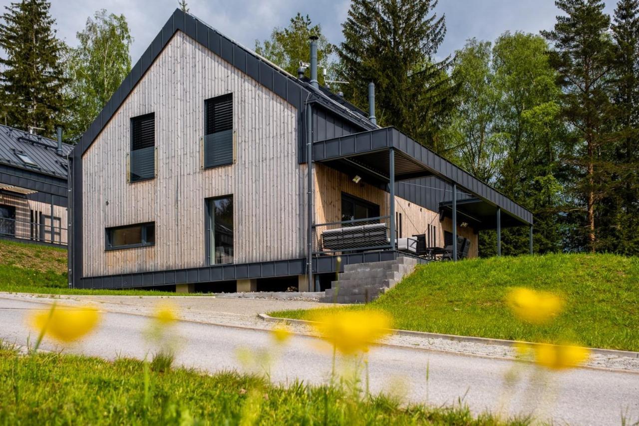 Holiday House U Hajenky 11P Lipno Home Lipno nad Vltavou Dış mekan fotoğraf